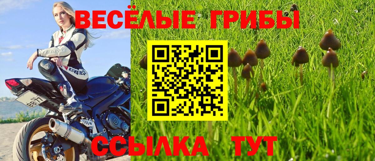 Петропавловск-Камчатский  Галлюциногенные грибы мицелий  Вход с VPN 