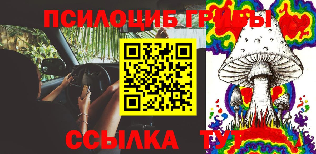 Конопля  Гашиш  Вход с VPN  Петропавловск-Камчатский  Бошки Шишки  Меф МЯУ МЯУ кристаллы  APVP СК кристаллы  Экстази 