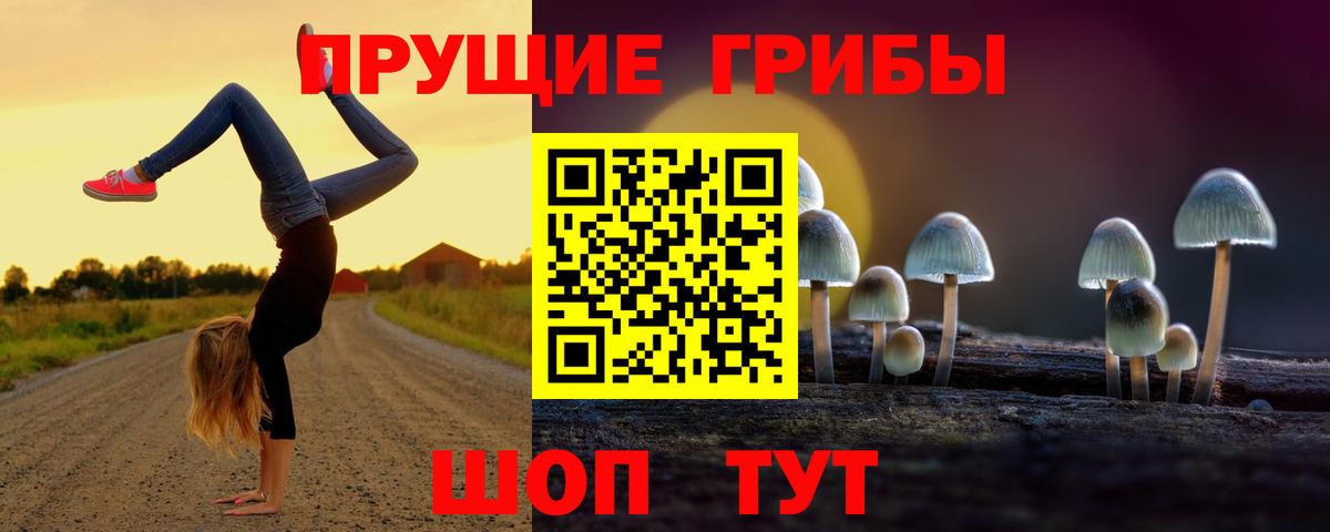 ГЕРОИН Петропавловск-Камчатский